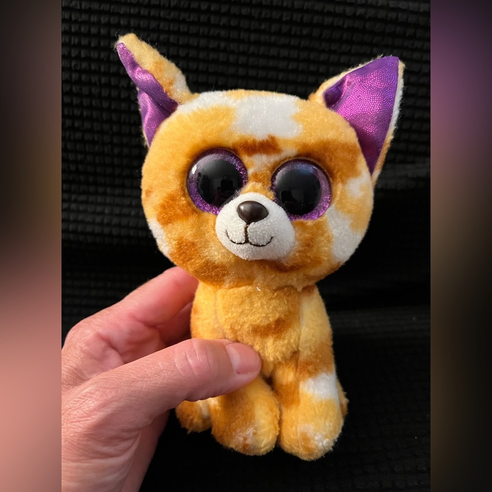 TY Pablo the Chihuahua beanie boo